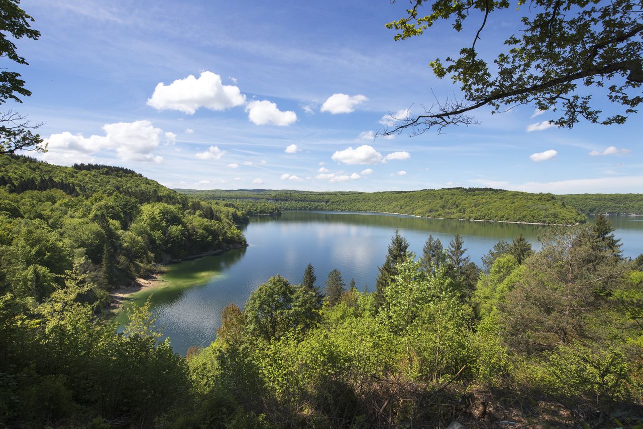 Paysage Lacs Lac de Vouglans lac_de_Vouglans2